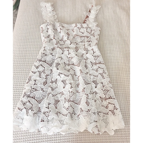 NWT Elliatt Pine Butterfly Lace Dress - Picture 4 of 5
